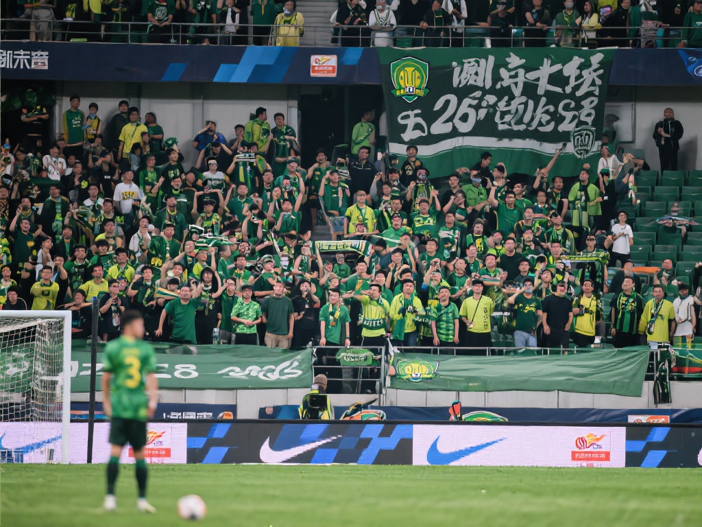 世界杯专用 世界杯专用